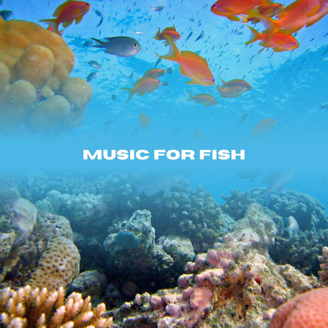 Music For Fish - Album by Relaxing Piano For Pets | Spotify