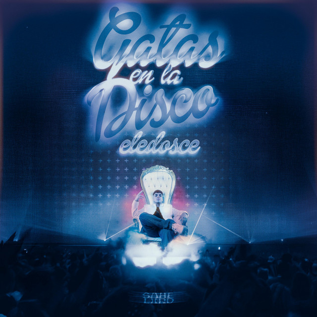 Gatas en la Disco