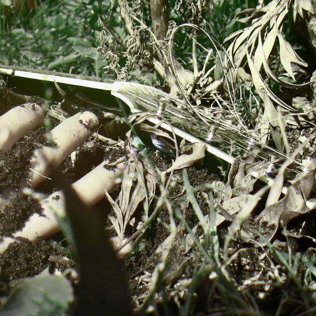 5! Now You're Talking