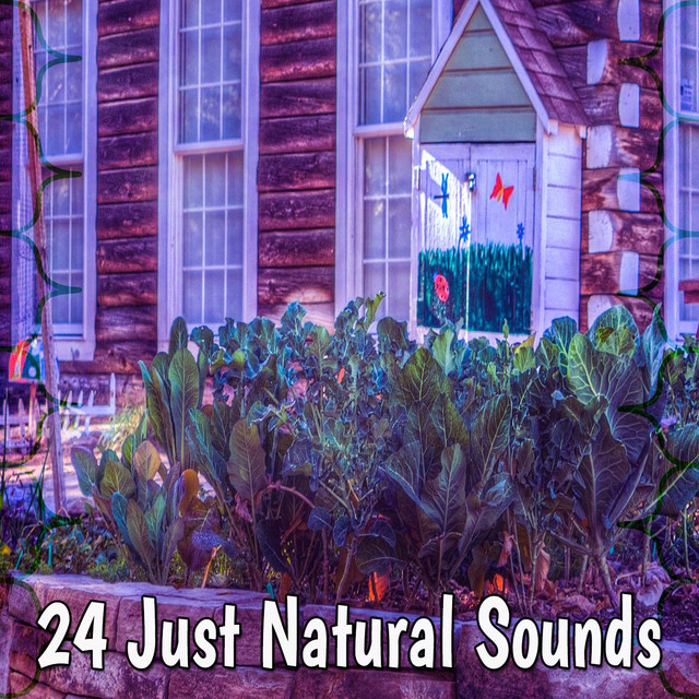 24 Just Natural Sounds - Album by Sleep Sounds of Nature | Spotify