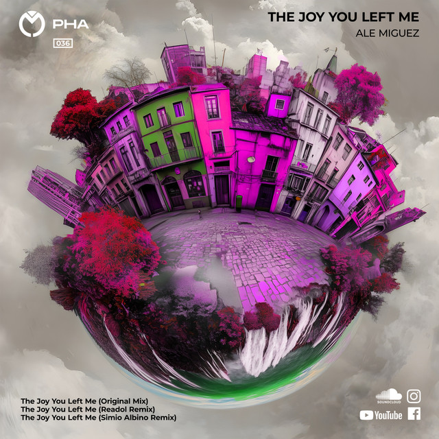 The Joy You Left Me (Readol Remix)