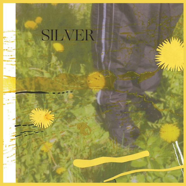 SILVER cover art