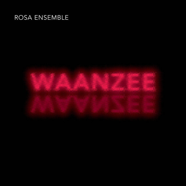Waanzee cover