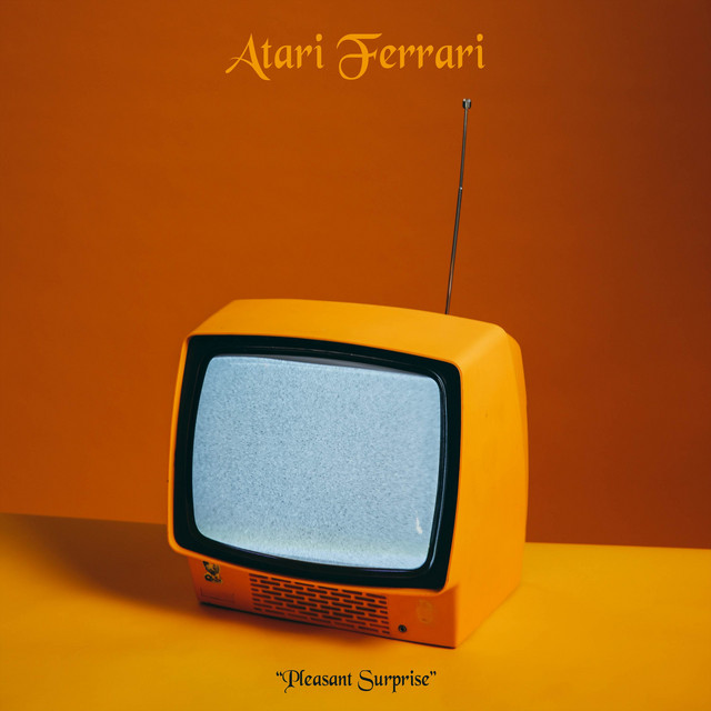 Pleasant Surprise cover art