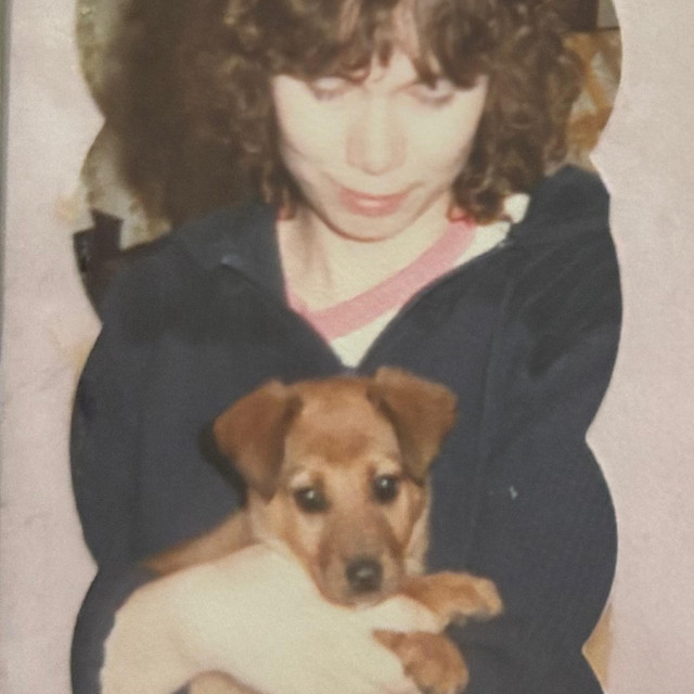 Molly cover art