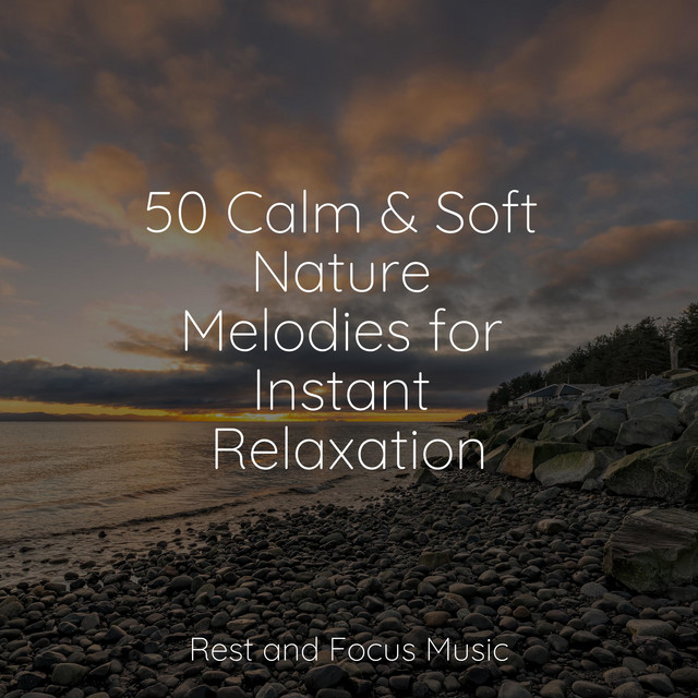50 Calm & Soft Nature Melodies for Instant Relaxation - Album by ...