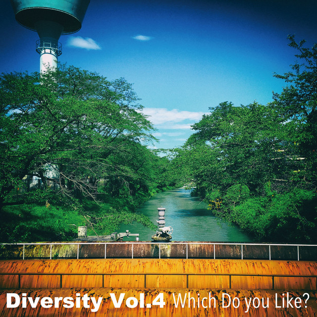 Diversity Vol.4 Which Do You Like? cover art