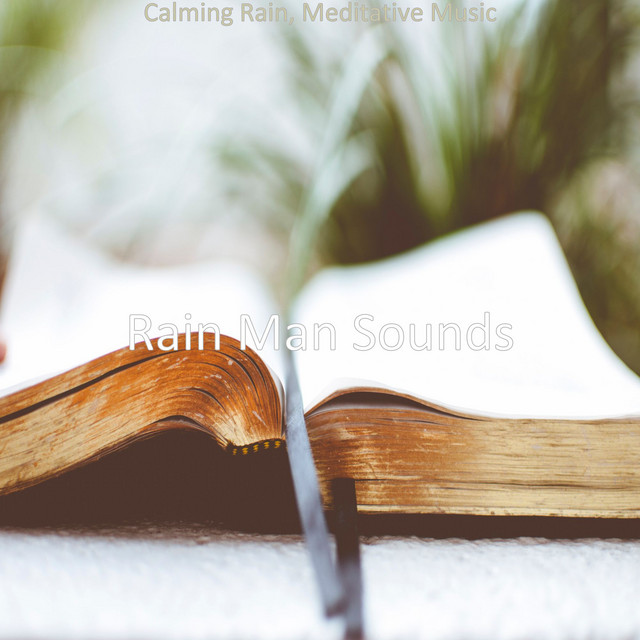 Calming Rain, Meditative Music cover art