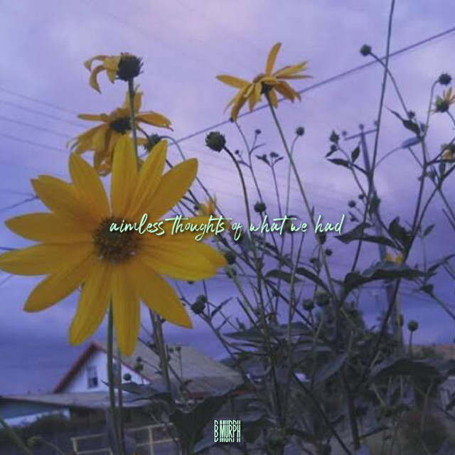 aimless thoughts of what we had cover art