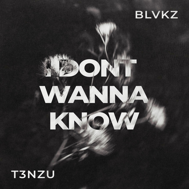 I DON'T WANNA KNOW album image