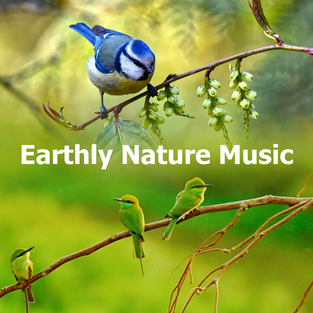 Earthly Nature Music - Album by Música de la Naturaleza | Spotify