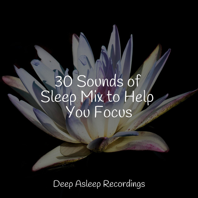 30 Sounds of Sleep Mix to Help You Focus - Album by Meditation Zen ...