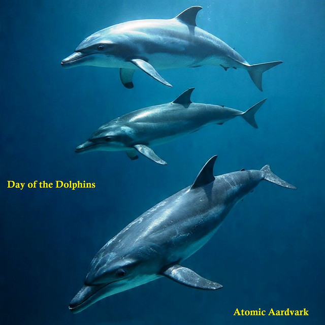 Atomic Aardvark – Day of the Dolphins
