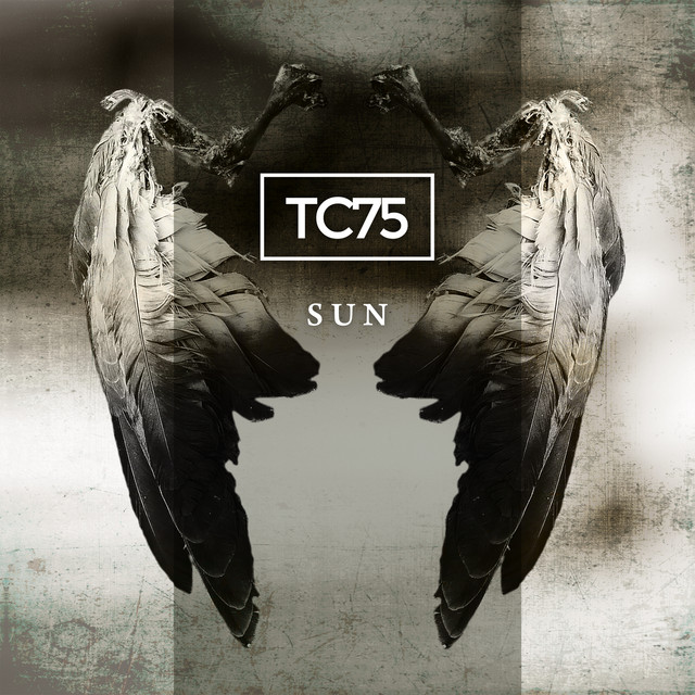 Sun cover art