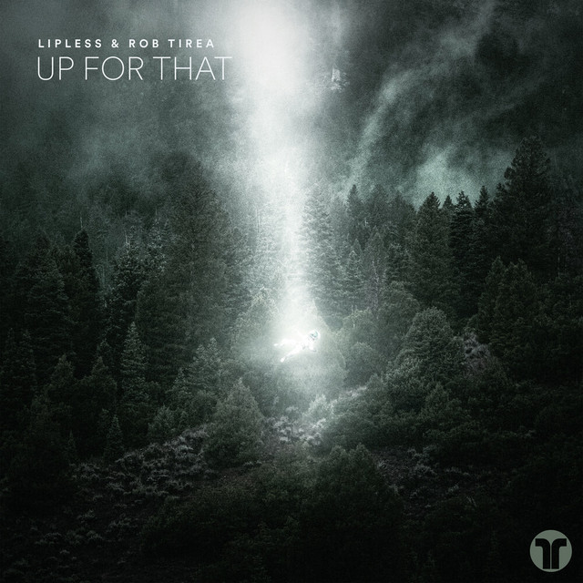Up For That - Extended Mix album art