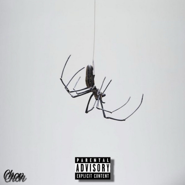 Chon | Spotify