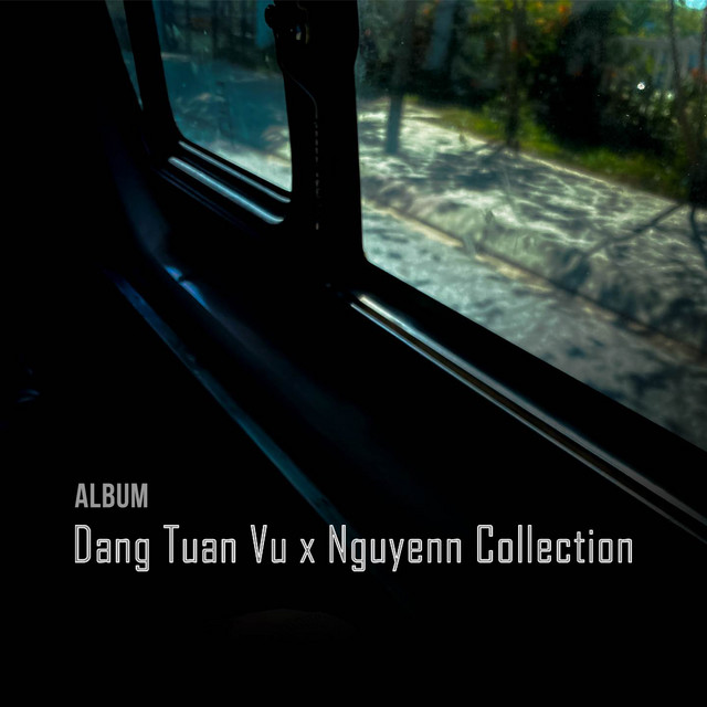 Dang Tuan Vu x Nguyenn Collection cover art