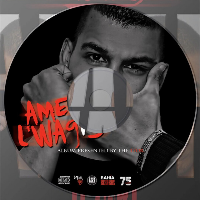 Amer L'wa9i3 (2012) cover art