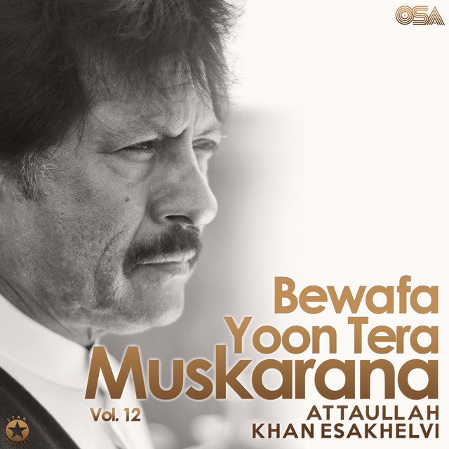 Bewafa Yoon Tera Muskarana, Vol. 12 cover art