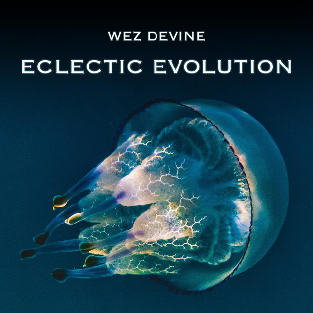 Eclectic Evolution cover art