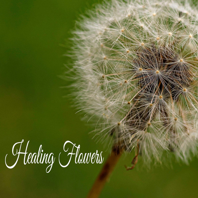 Healing Flowers cover art