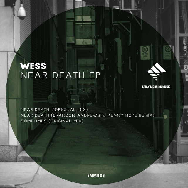 Near Death - Brandon Andrews, Kenny Hope Remix cover art