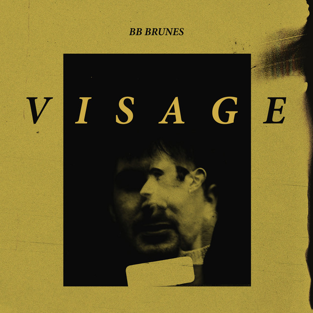 Cover du titre Visage