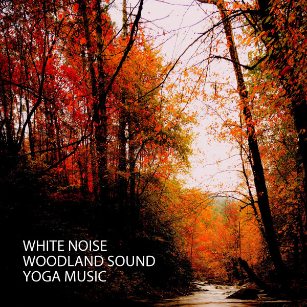 White Noise: Woodland Sound Yoga Music