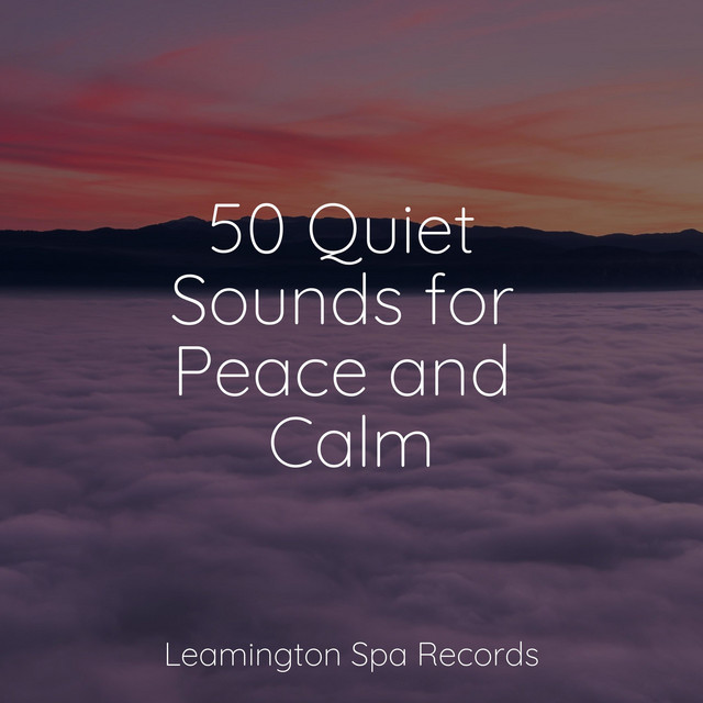 50 Quiet Sounds for Peace and Calm cover art