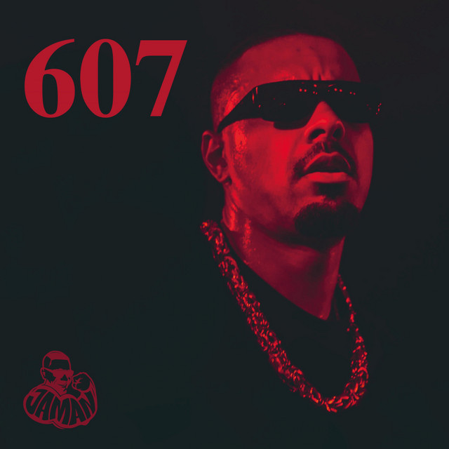 607 cover