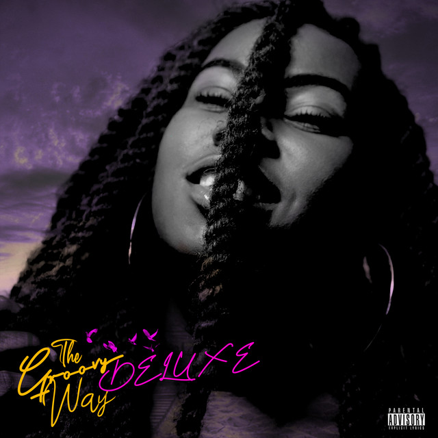 The Groovy Way (Deluxe) cover art