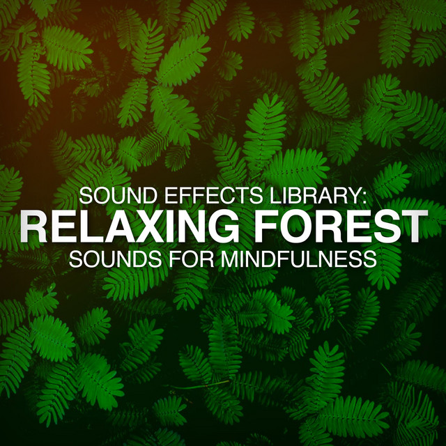 Sound Effects Library Relaxing Forest Sounds For Mindfulness Album By Pro Sound Effects Library Spotify