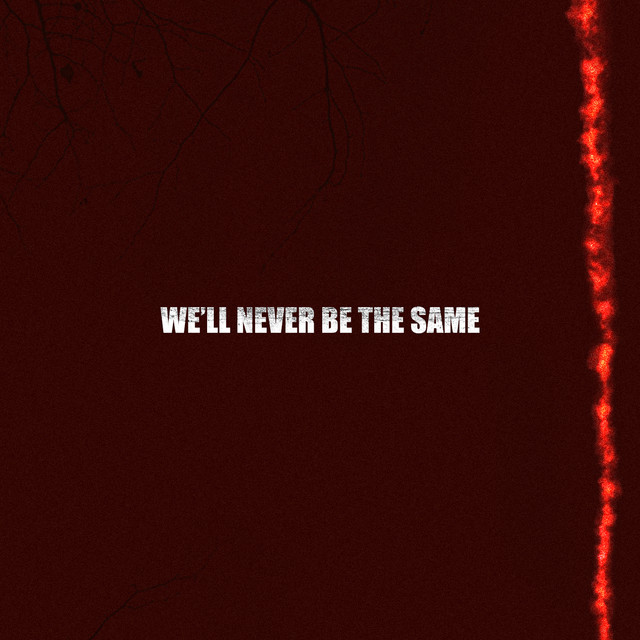 We'll never be the same cover art
