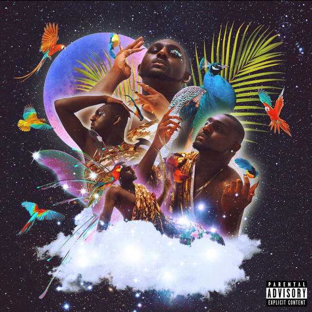 JAYBIRD cover art