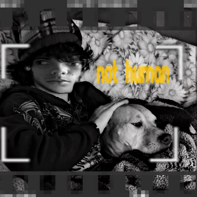 pwn (morphing) cover art