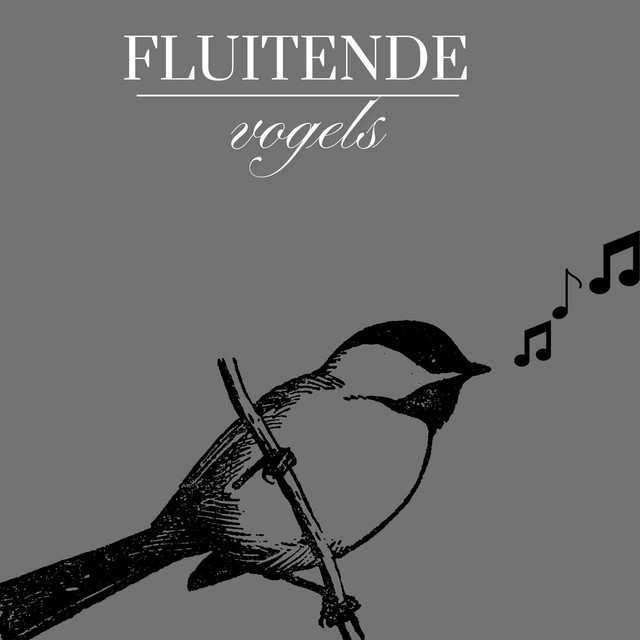Fluitende Vogels