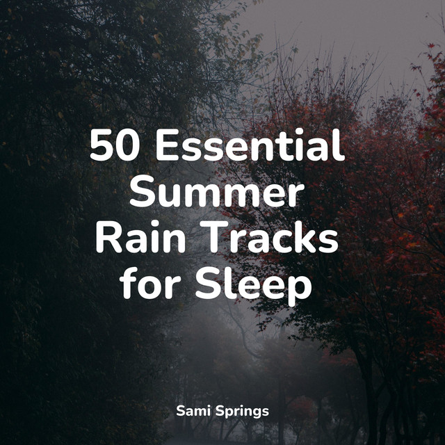 50 Essential Summer Rain Tracks for Sleep - Album by Sounds of Nature ...