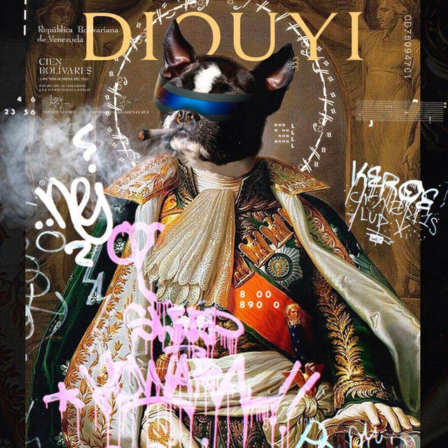 DIOUYI cover art