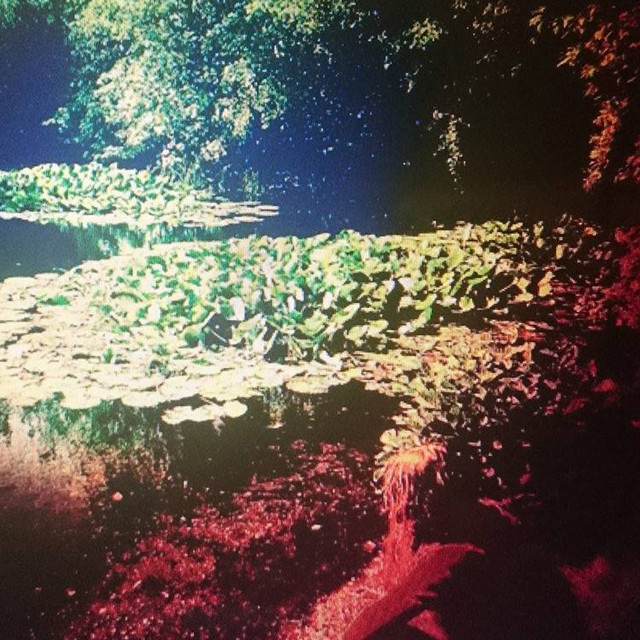 Perennials cover art