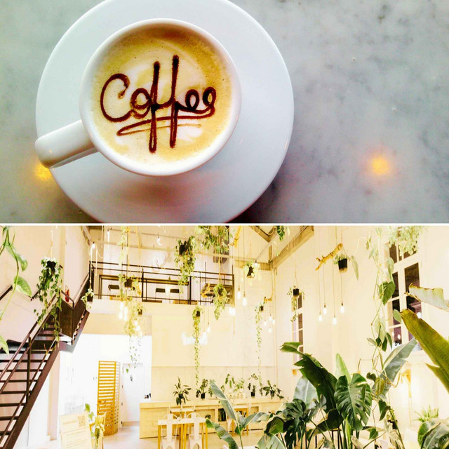 Music for Pistachio Lattes (Piano) cover art