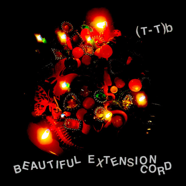 Beautiful Extension Cord cover art