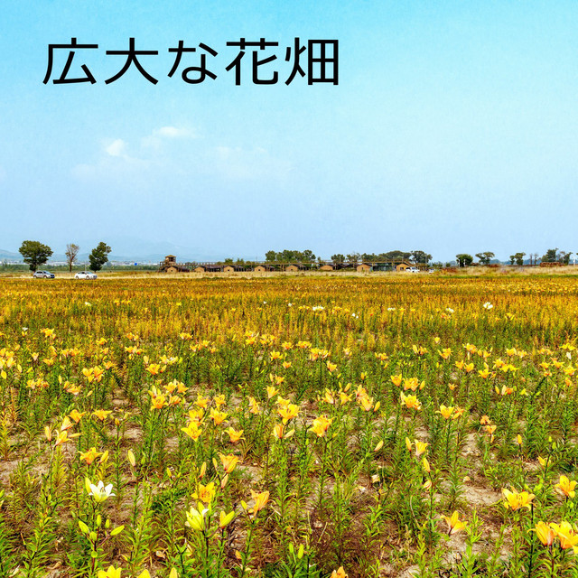 勇ましいパラダイス