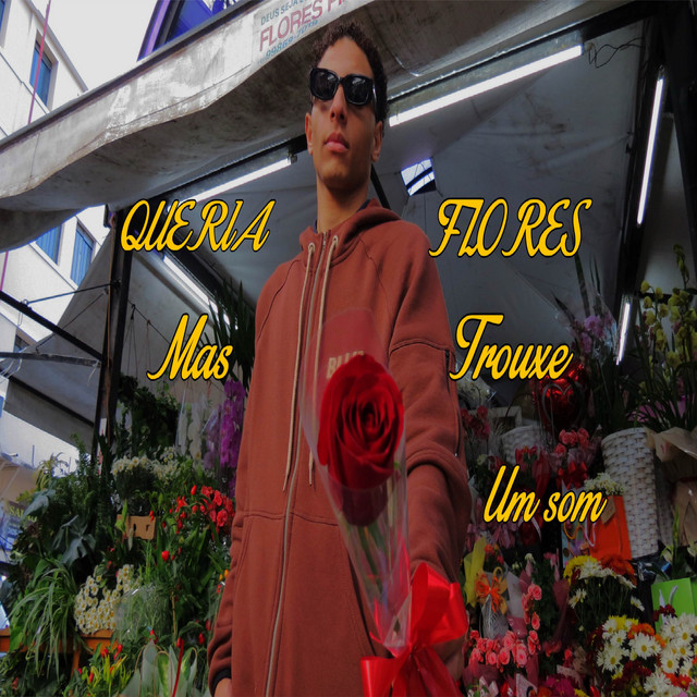 QUERIA FLORES MAS TROUXE UM SOM