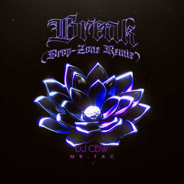 Break (Drop-Zone Remix) - Single by DJ CBW | Spotify