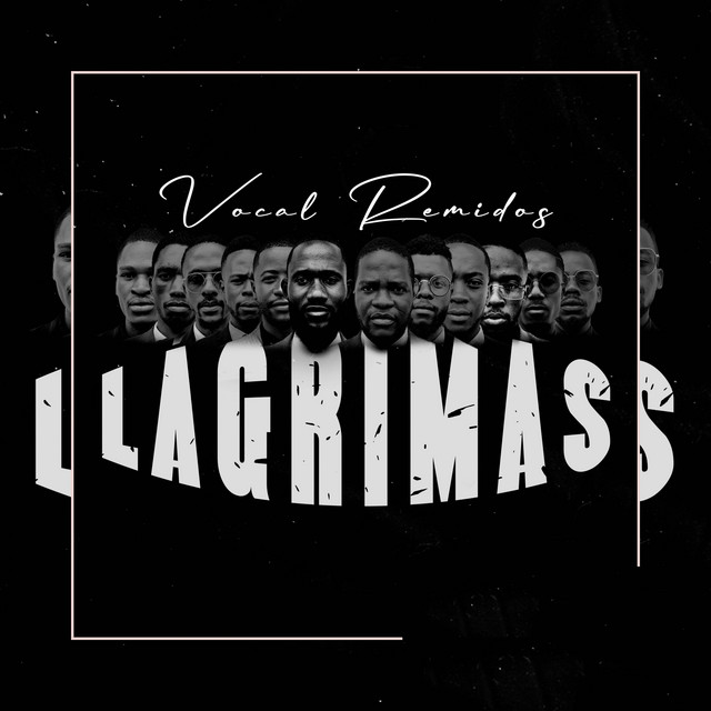 Vocal Remidos