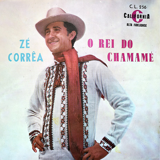 O Rei do Chamamé cover art