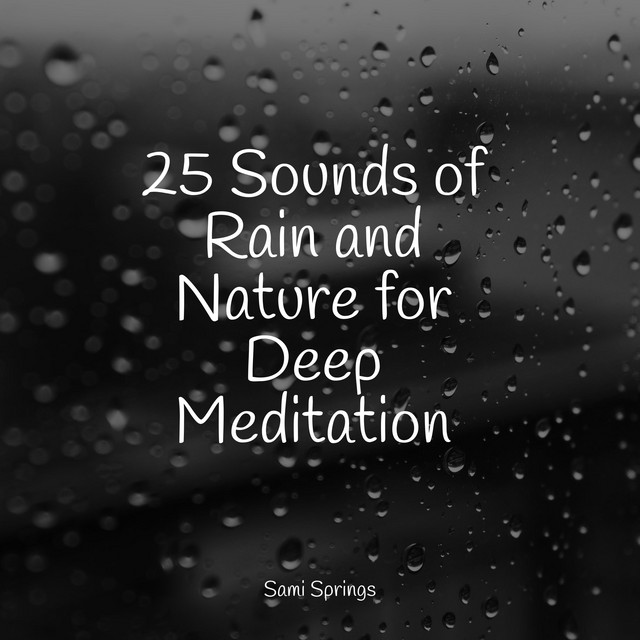 25 Sounds of Rain and Nature for Deep Meditation - Album by Rain | Spotify