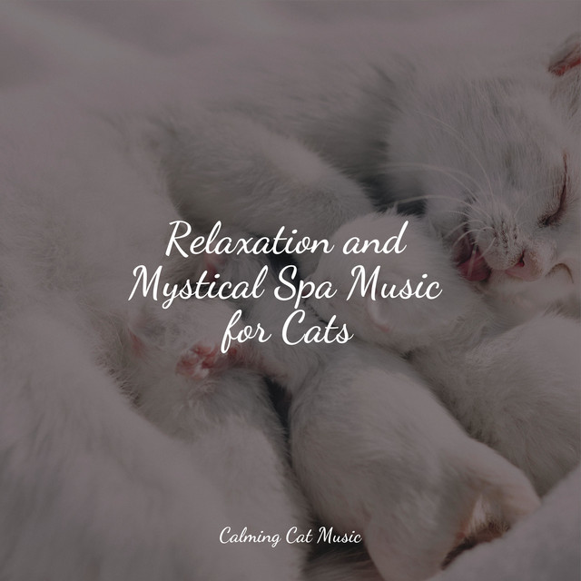 Relaxation and Mystical Spa Music for Cats - Album by Jazz Music for ...