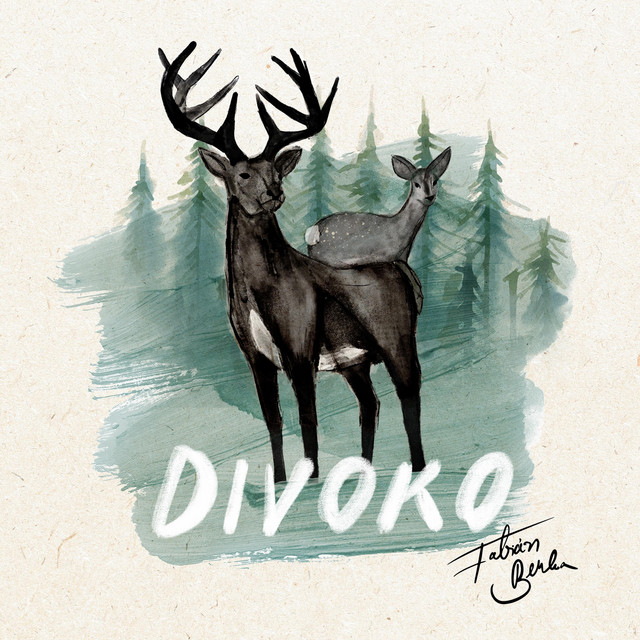 Divoko cover art