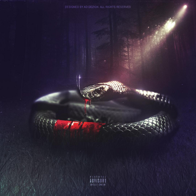 Blacc Mamba cover art